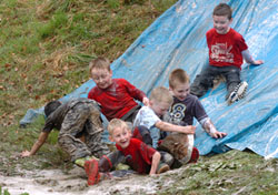 Beavers having a jelly fight