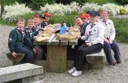 Cubs having a picnic